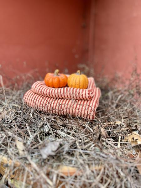 Terrakotta Farben BIO